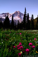 Indian Henry's Hunting Ground, Wonderland Trail, Mt Rainier