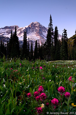 Indian Henry's Hunting Ground, Wonderland Trail, Mt Rainier