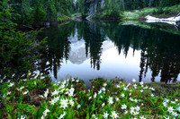 Mirror Lake, Mt Rainier National Park