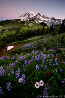 Sunset over Mt Rainier at Indian Bar, Wonderland Trail