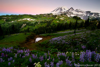 Sunrise over Mt Rainier at Indian Bar, Wonderland Trail