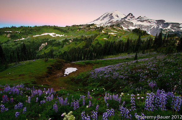 Sunrise over Mt Rainier at Indian Bar, Wonderland Trail