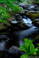 Waterfalls and Streams