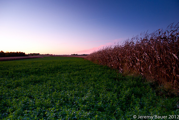 Sunset over cornfields in Canandaigua, NY