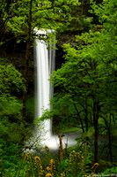 Silver Falls State Park