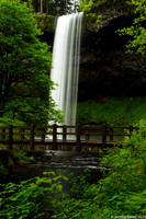 Silver Falls State Park