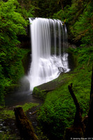 Silver Falls State Park