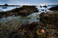 tidal pools, Toleak Point