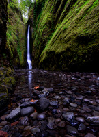 Fall arrives at Oneonta Gorge