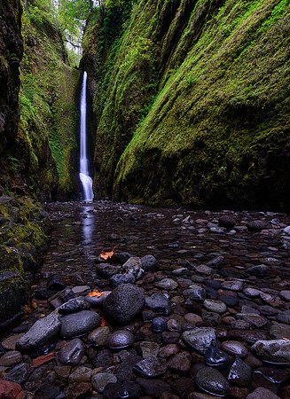 Fall arrives at Oneonta Gorge